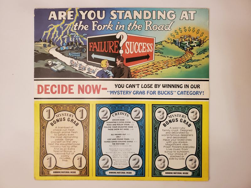 Unknown Are You Standing at the Fork in the Road? (Failure or Success) vinyl record